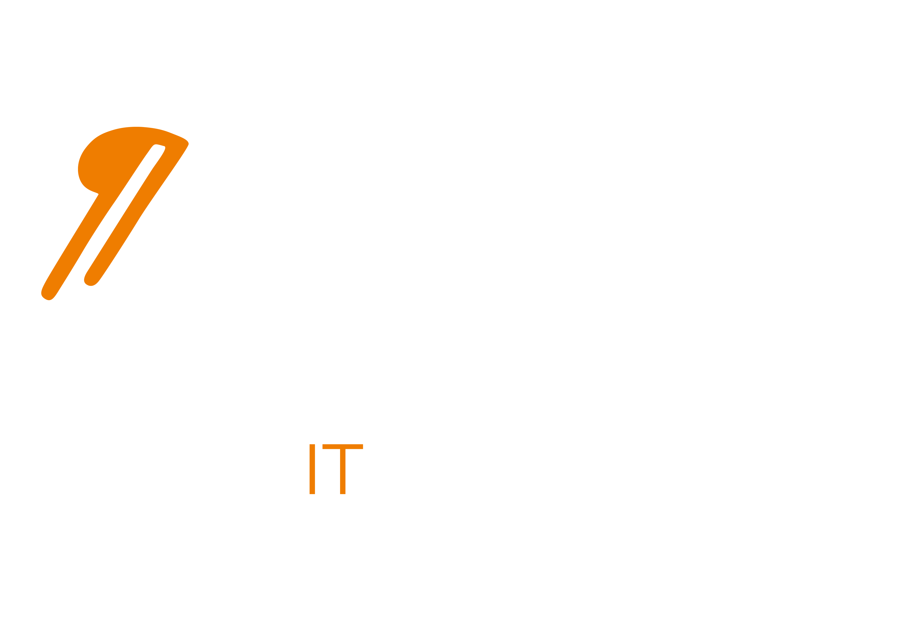 Lelinea IT Manufaktur